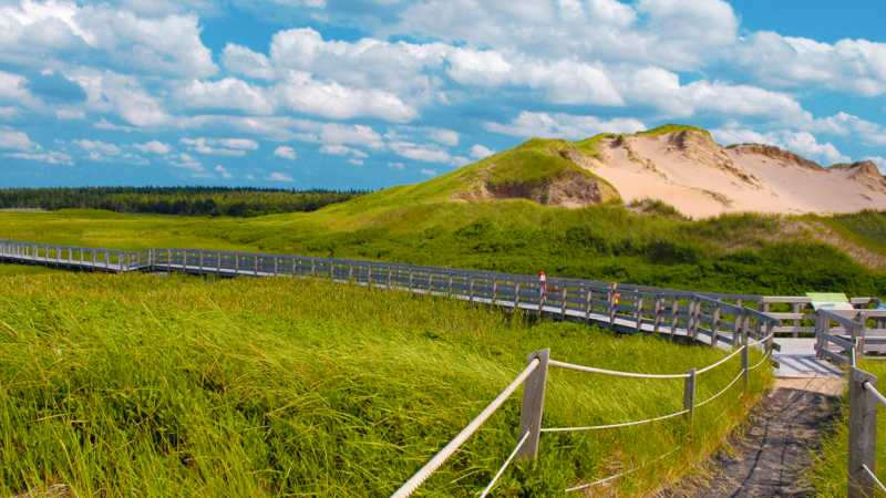 Greenwich Sand Dunes in Prince Edward Island National Park | Tourism PEI/Heather Ogg