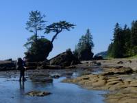 Looking north toward Carmanah Point Lighthouse, Vancouver Island |  <i>Keri May</i>