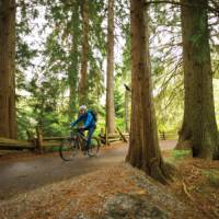 Cycling the Sea to Sky Trail in Whistler Valley | Tourism Whistler/Mike Crane