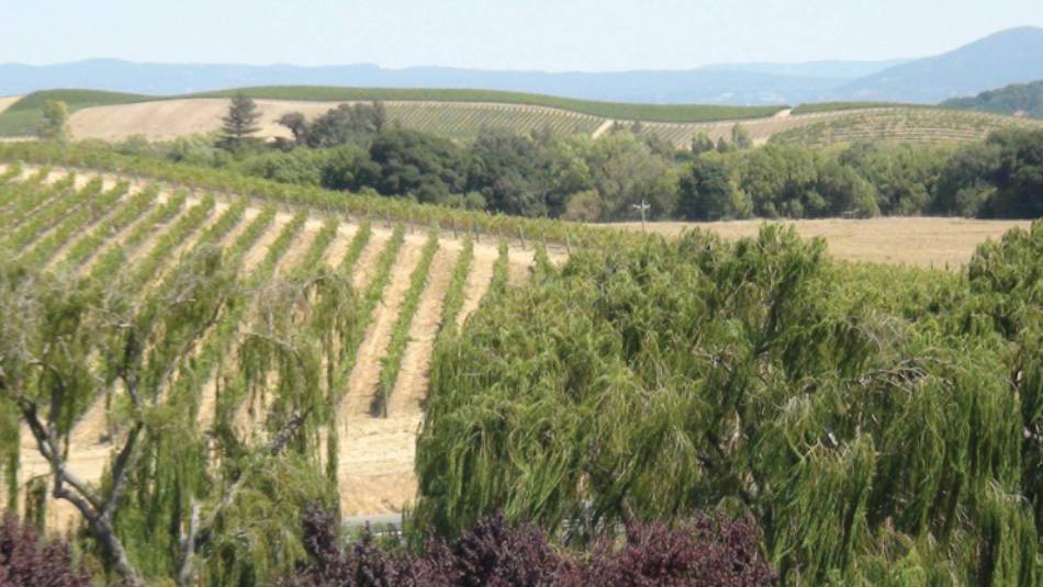 View from Artesa Winery, near Napa | Keri May