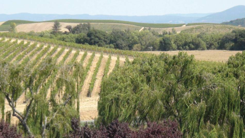 View from Artesa Winery, near Napa | Keri May