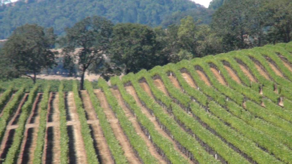 Knights Valley, Northern Sonoma County | Keri May