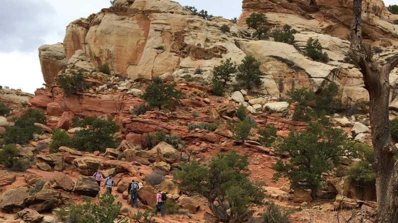 Trail through the heart of Capitol Reef | Jake Hutchins