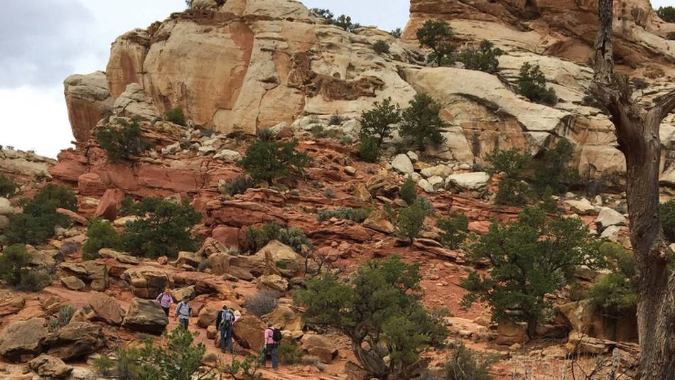 Trail through the heart of Capitol Reef | Jake Hutchins
