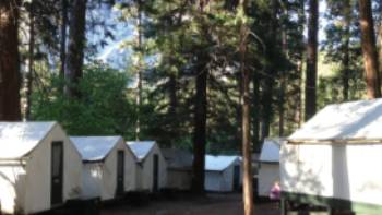 Curry Village tent cabins at Yosemite National Park,Nathaniel Wynne Curry Village tent cabins at Yosemite National Park, USA