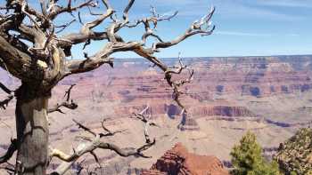 Grand Canyon National Park,Nathaniel Wynne Grand Canyon National Park, Arizona