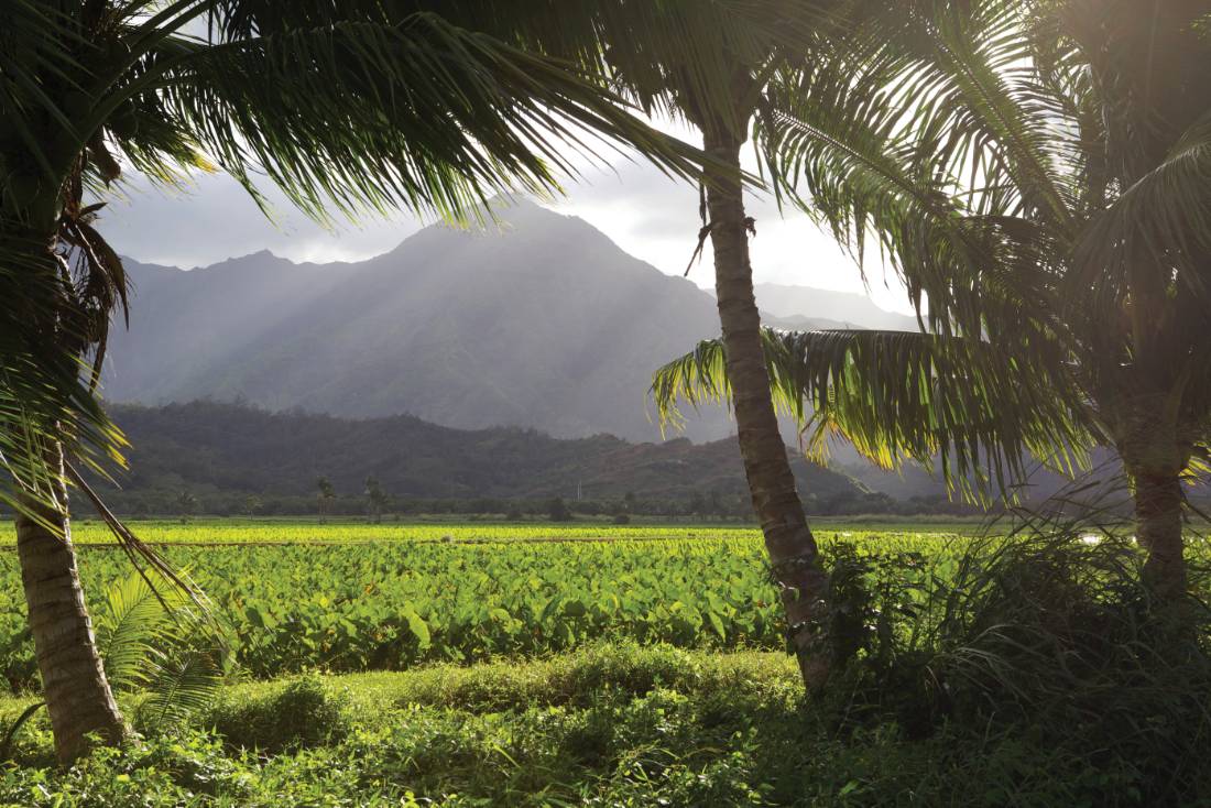 Tropical paradise on Kauai