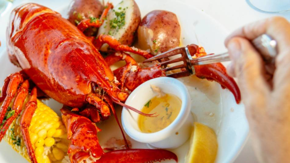Fresh Maine Lobster | Visit Maine