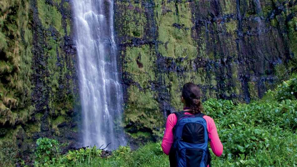 Lush hiking trails abound on Maui