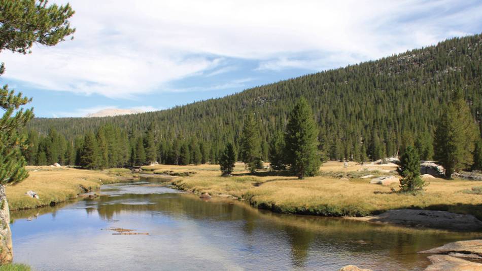The Sierra Nevada's's densely-forest valleys | Ken Harris