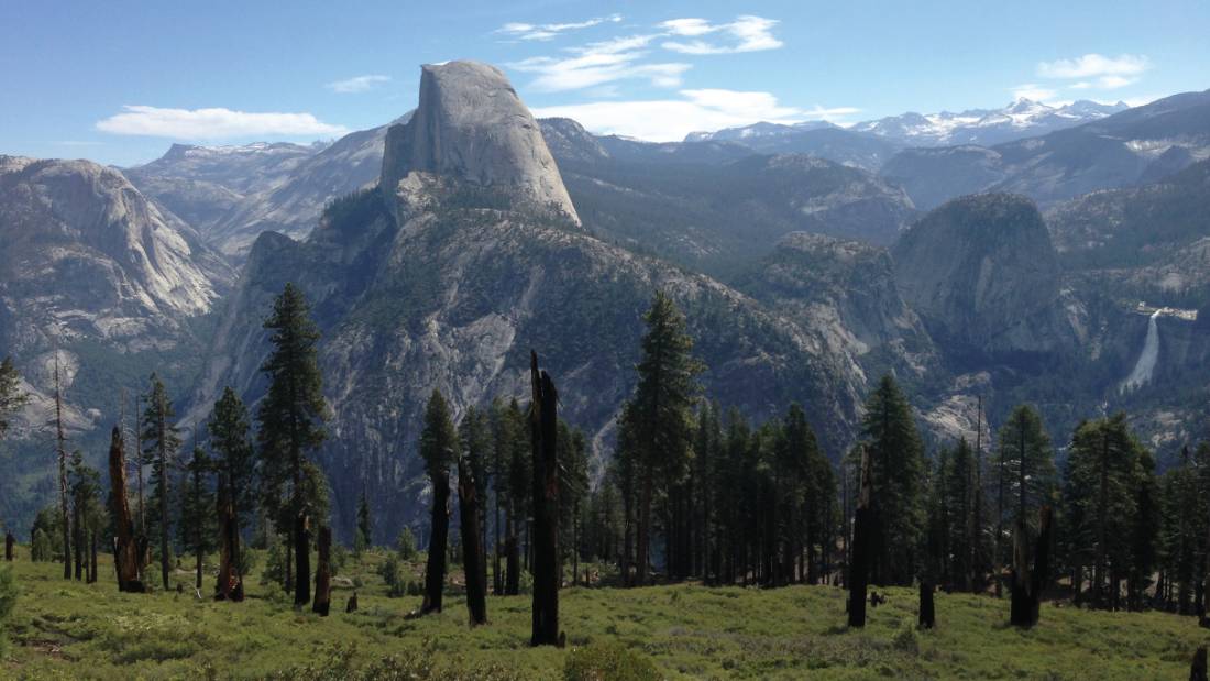 View to Half Dome, Yosemite National Park |  <i>Nathaniel Wynne </i>