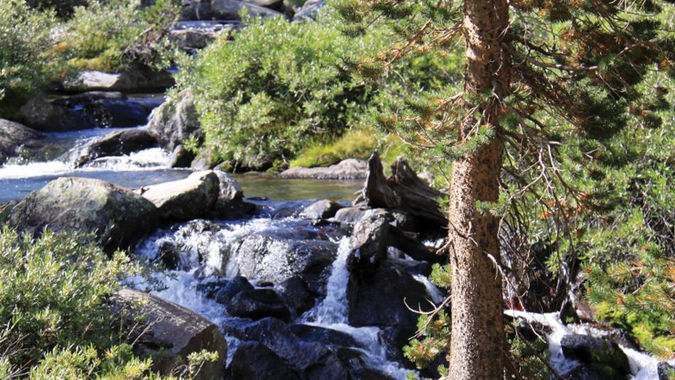 Serene forest waterfall in California's Sierra Nevada | Ken Harris