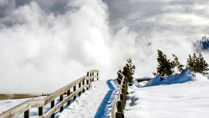 Blue skies overhead as we explore the beauty of Yellowstone National Park