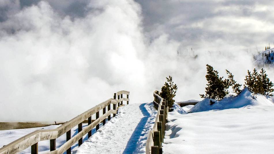 Blue skies overhead as we explore the beauty of Yellowstone National Park