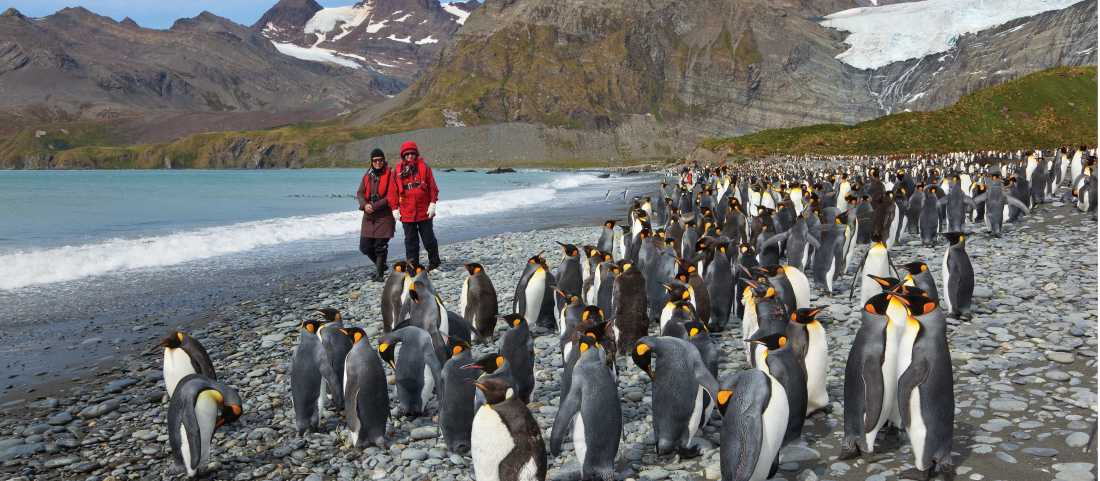 South Georgia Antarctic peninsula