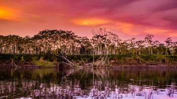 5E7A2043,Delfin Amazon Cruises The magical colours and tones of the Amazon jungle, Peru
