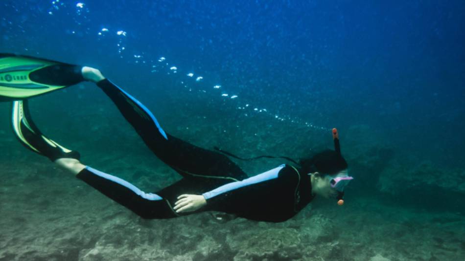 Explore above and below, snorkel in the Galapagos Islands