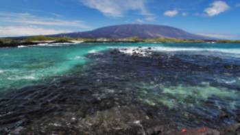 Fernandina Island,Ecoventura Fernandina Island, Galapagos Islands