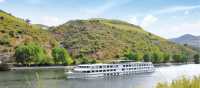 Ms Infante Don Henrique