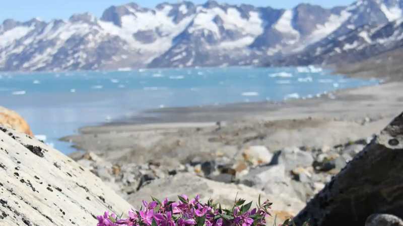 The vast expanses of the Ammassalik fjord system, Greenland