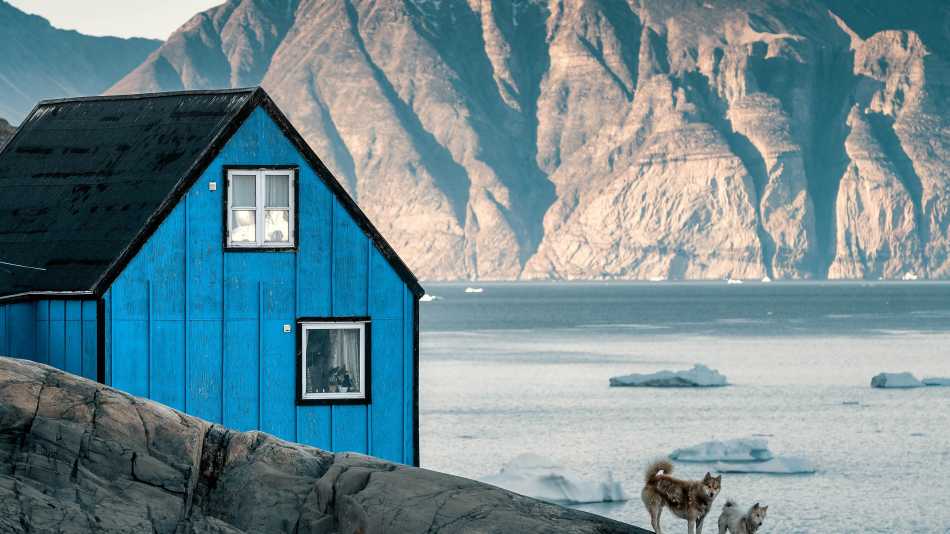 Huskies in Western Greenland
