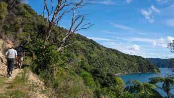 Perano, Blumine track © F.Wardle,Fiona Wardle Hiking on Blumine Island