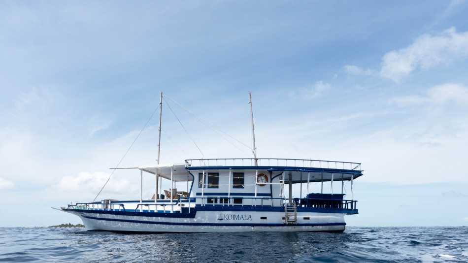 Traditional dhoni cruise, Maldives