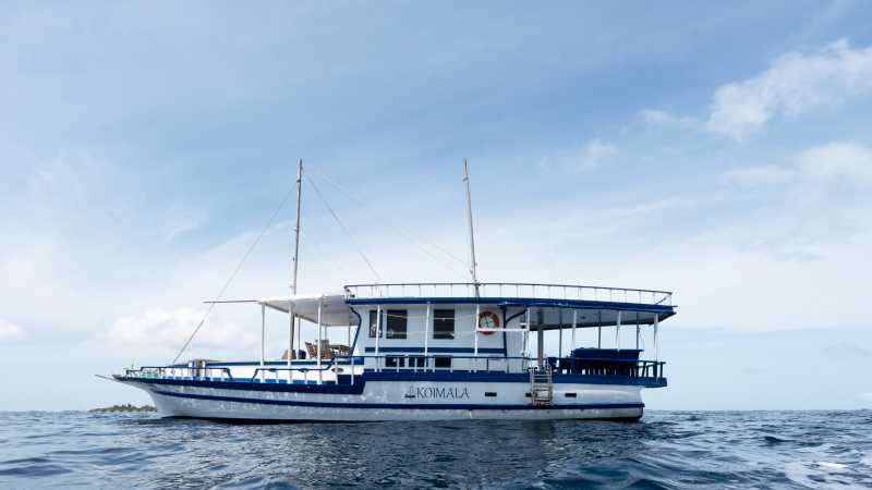 Traditional dhoni cruise, Maldives