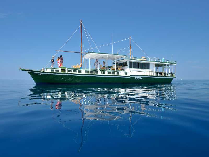 A traditional 'dhoni' sailing the Maldives