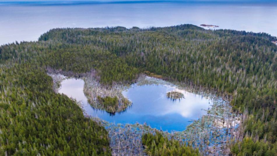 Aerial shot, Haida Gwaii