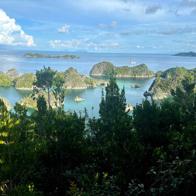 Spectacular Misool Island, Raja Ampat | Rachel Imber