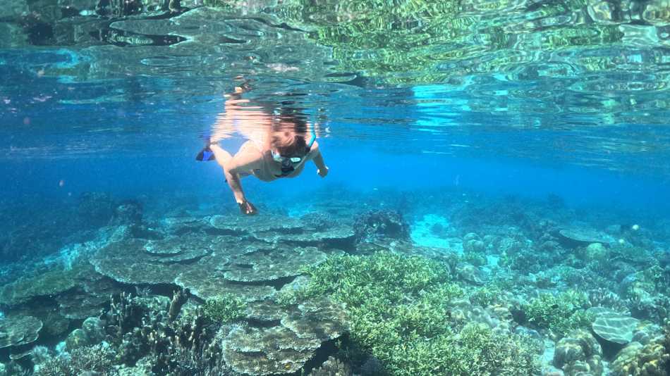 Snorkelling the pristine coral gardens of Raja Ampat