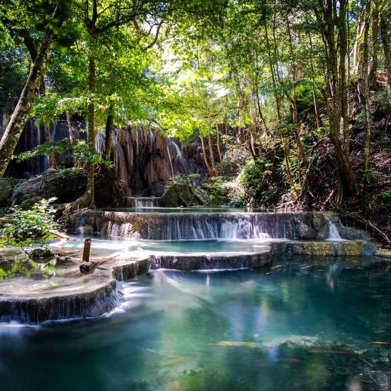 Visit Moyo Island, home to incredible forests and waterfalls