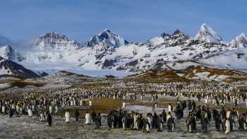South Georgia Antarctica,Danita Delimont The raw beauty of South Georgia