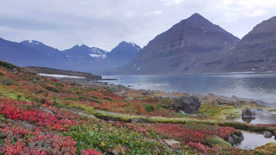 The colours of the Arctic in spring