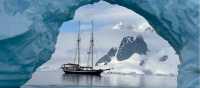 Elsi in Greenland