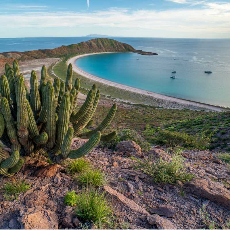 Spectacular Isla San Francisco, Baja Mexico