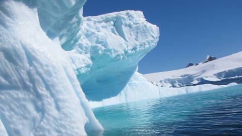 Antarctic icebergs | Learna Cale