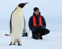 Up close with the majestic Emperor Penguin |  <i>Kyle Super</i>