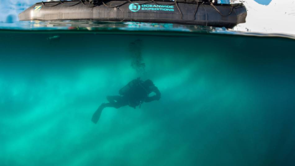 Diving in Antarctica