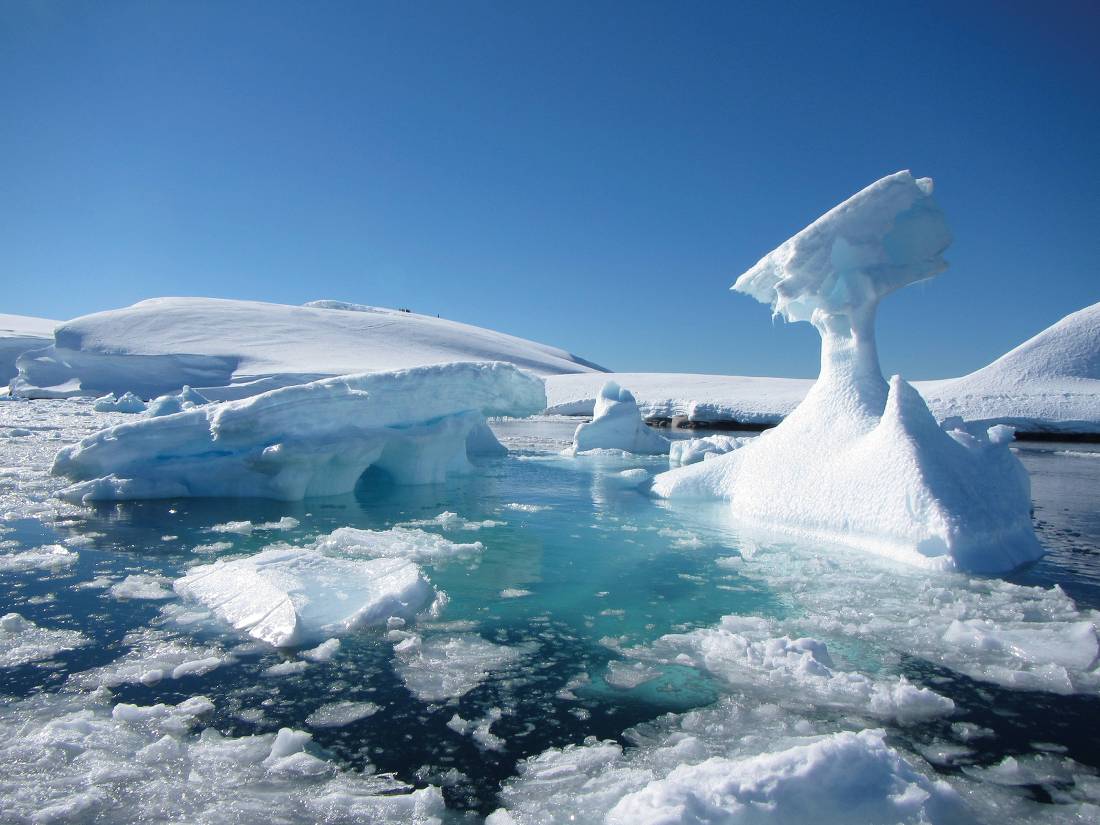 Iceberg scenery, Antarctic peninsula  |  <i>Learna Cale</i>