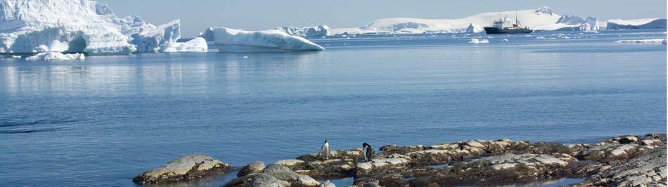 Landscapes of Antarctica, Western Peninsula  -  Photo: Learna Cale