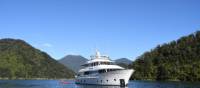 Heritage Explorer in Marlborough Sounds, NZ