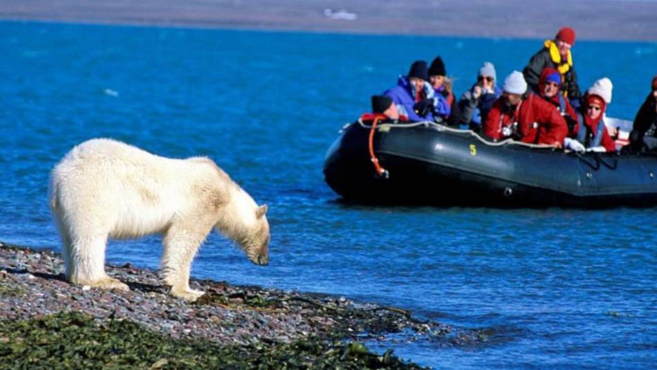 Wildlife viewing on Spitsbergen | Rinie van Meurs