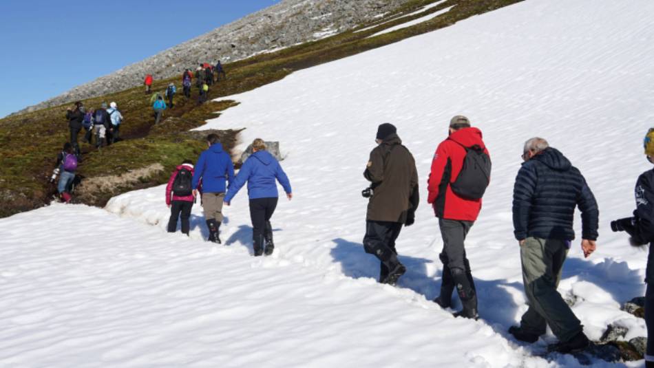 Walking to a Little Auks nesting spot in Svalbard | Gesine Cheung