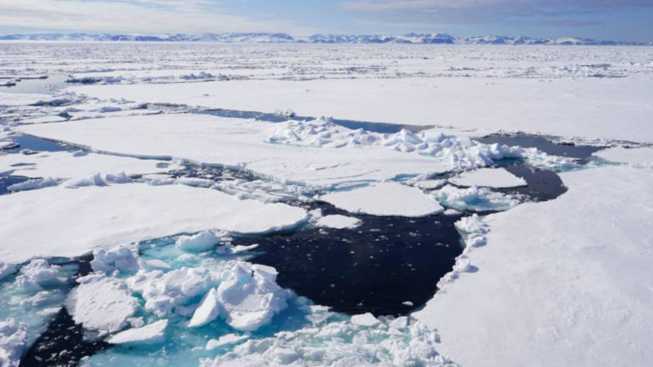 Views across the pack ice | Gesine Cheung