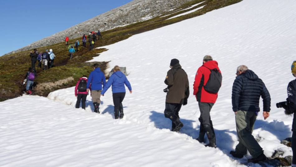 Walking to a Little Auks nesting spot in Svalbard | Gesine Cheung