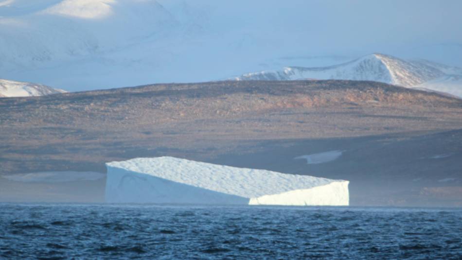 The majestic beauty of Greenland | Rachel Imber