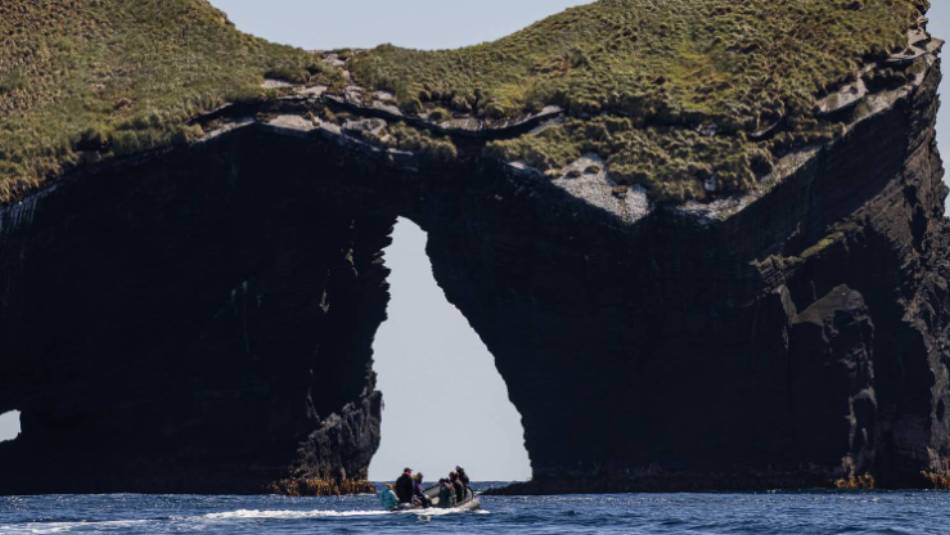 Zodiac cruising in the Antipodes Islands | A Woods