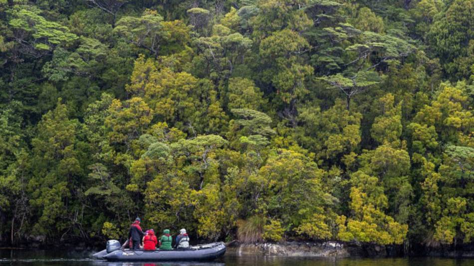 Exploring deep in Fiordland by zodiac | Steve Bradley